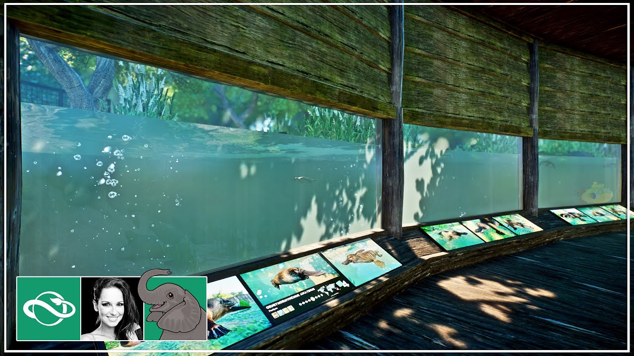 🐘 Creating an Amazing Platypus Habitat with Underwater Viewing in City Zoo | Planet Zoo