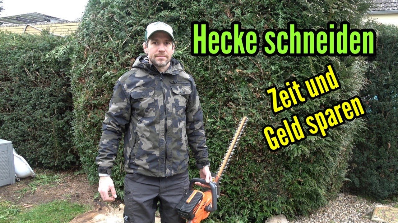 Hecke schneiden Tipps zum Zeitsparen und Geldsparen im Garten