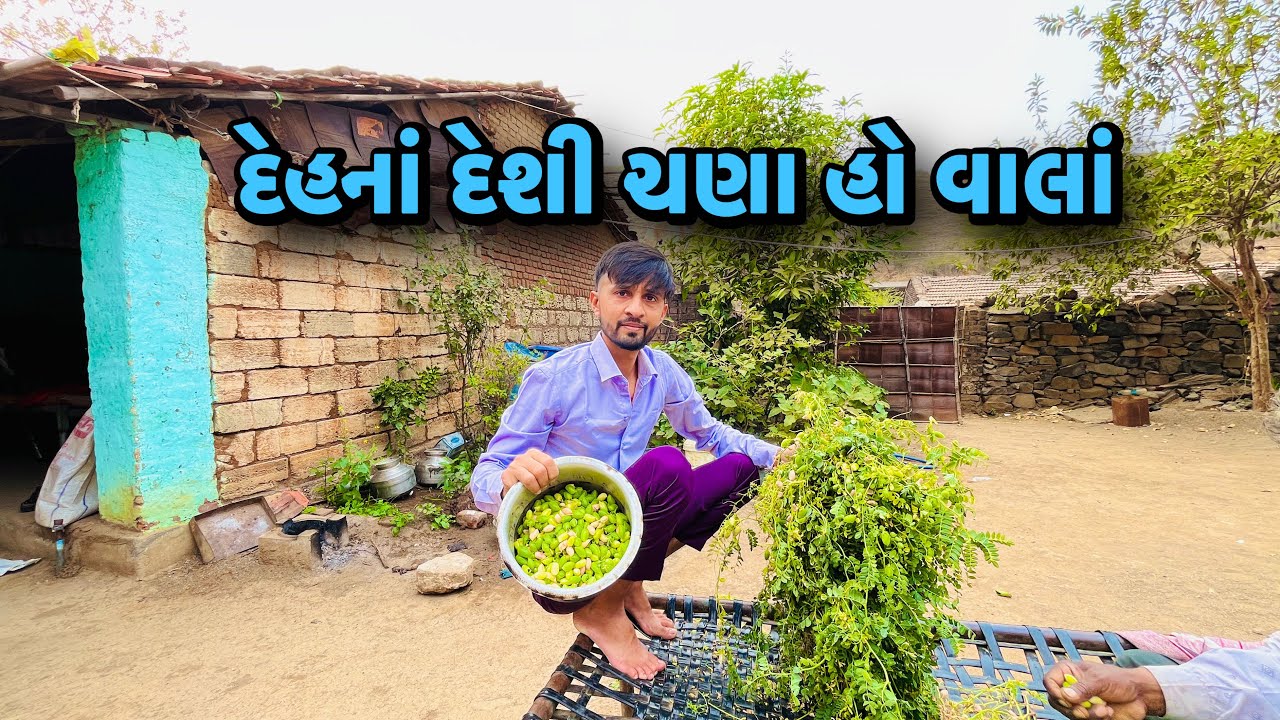 દેશી ચણાં ખાધાં 