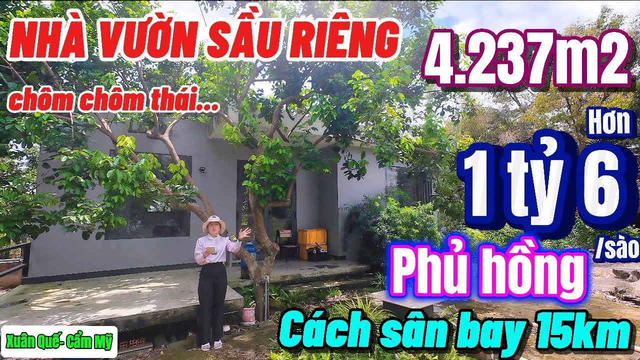 Nhà đất đồng nai,Bán gấp nhà vườn sầu riêng , chôm chôm có suối góc 2 mặt đường bê tông gần sân bay