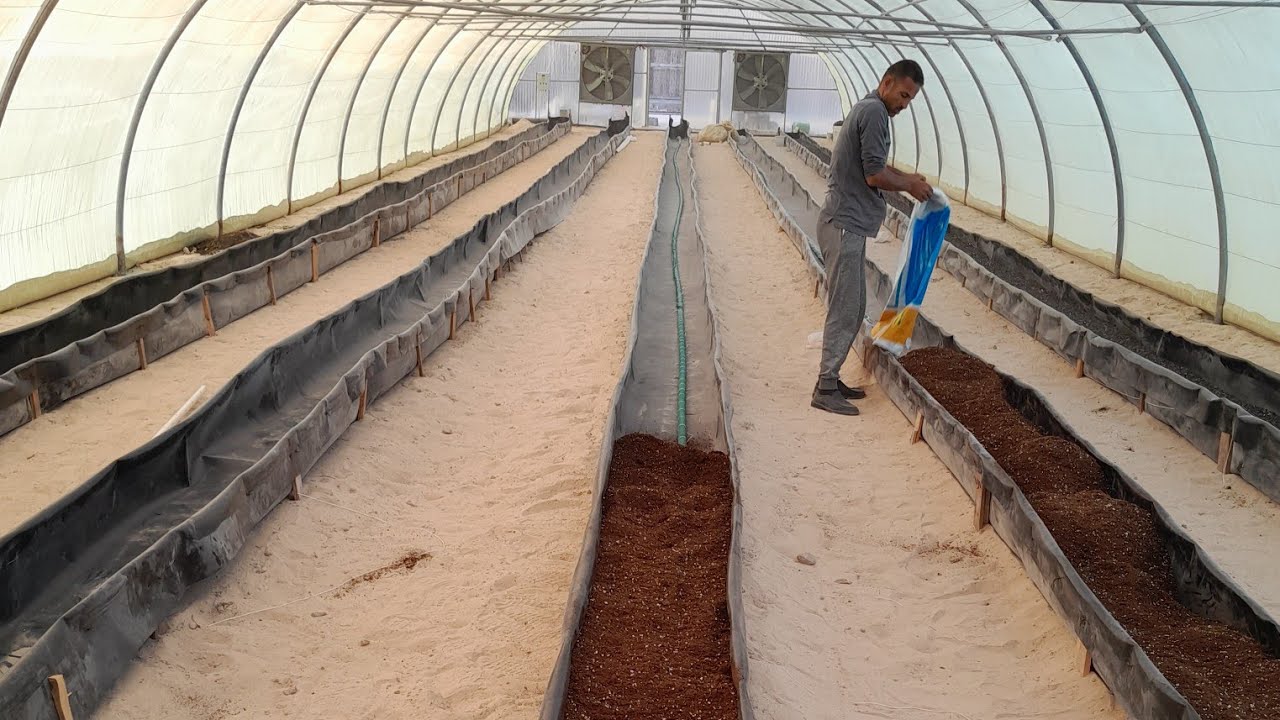 خطوات التجهيز للزراعه بدون تربه / الزراعه المائيه