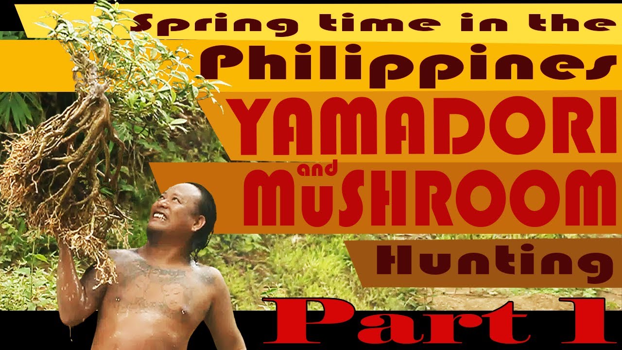 Yamadori (bonsai) and Mushroom Hunting [Palawan, Philippines] [Spring time Ph] Part 1