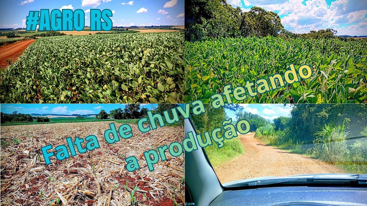 Operações paradas por falta de chuva 