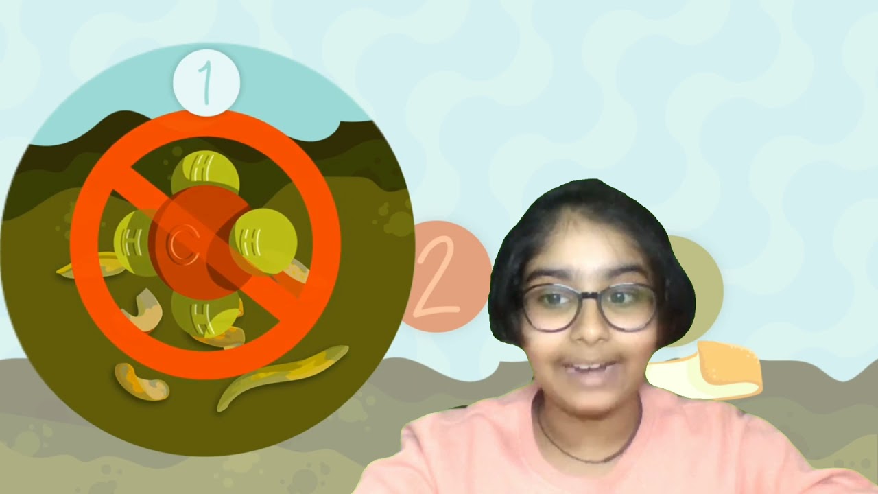 Design - Thinking Project - Make a Composite Bin