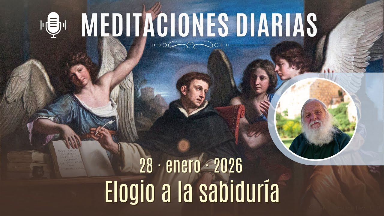 28 de enero de 2026 | “Elogio a la sabiduría”