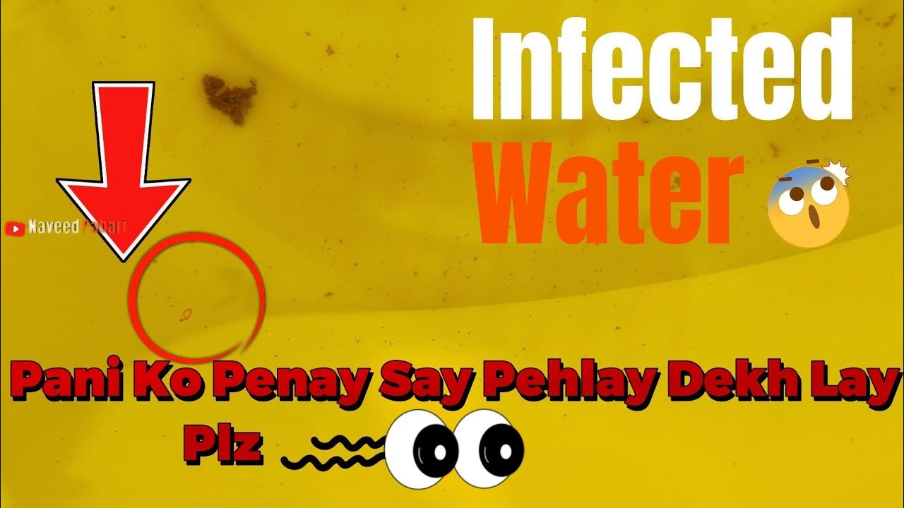 Spring Infected Water | Pani ko dekh kar peya |