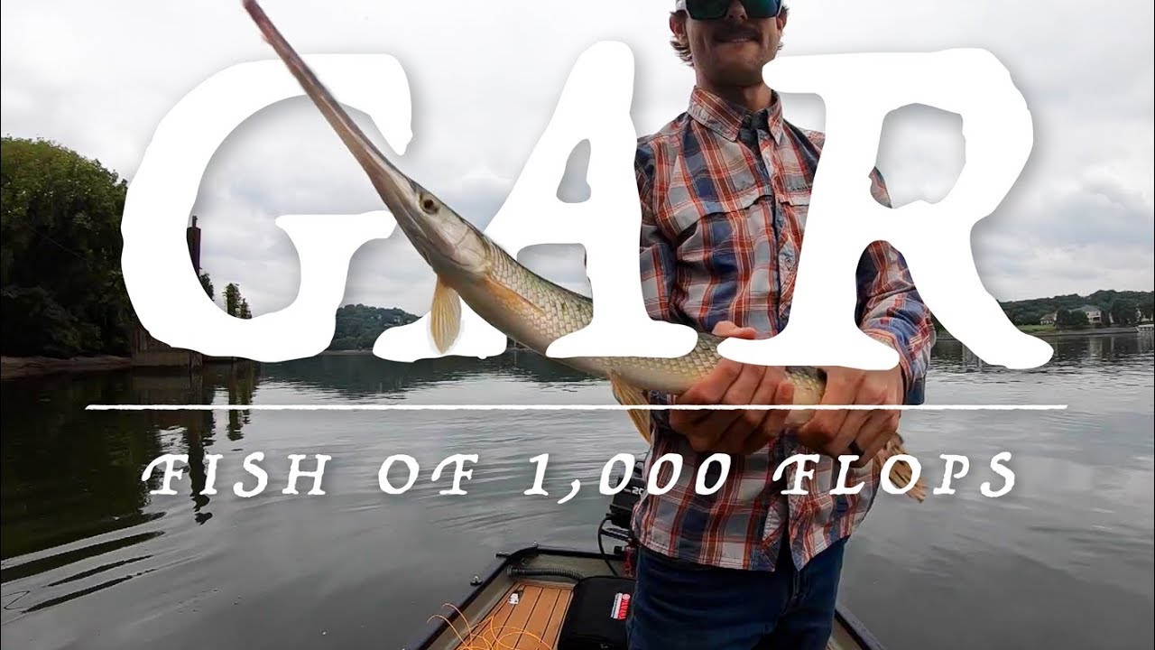 Gar: Fish of 1,000 Flops