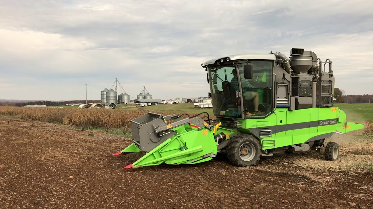 Science for Success: The Best Soybean Management Practices