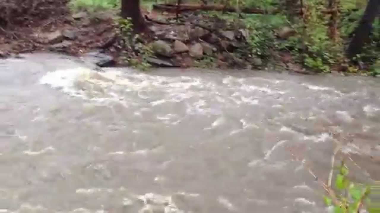 Cobbs Creek 3:00 pm EDT 30 April 2014