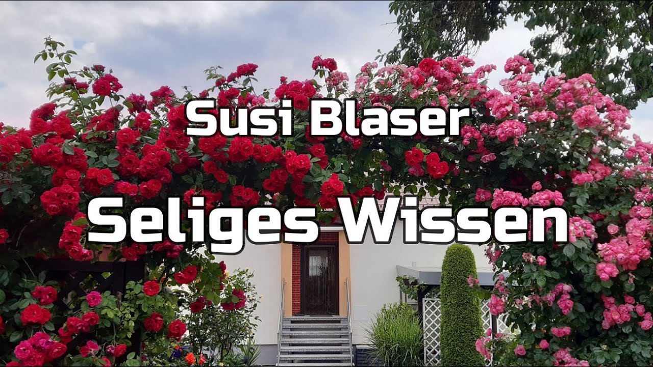Seliges Wissen   Susi Blaser
