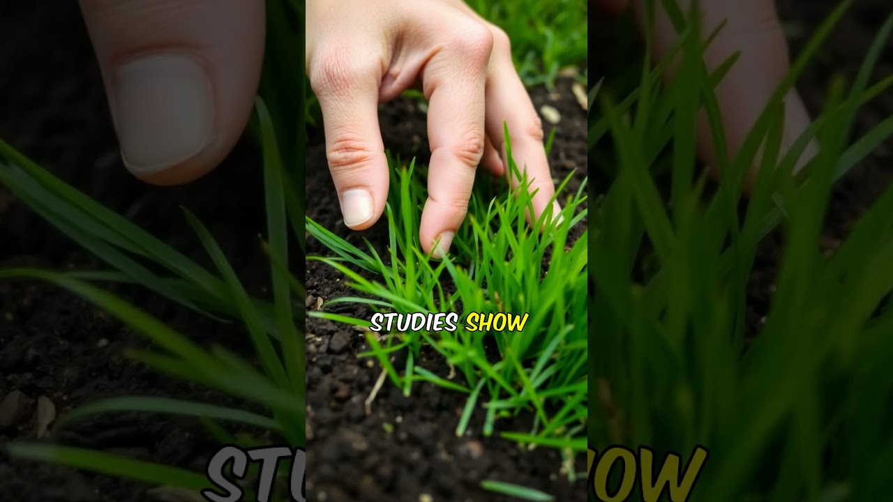 Benefits of Walking Barefoot on Grass (Earthing)