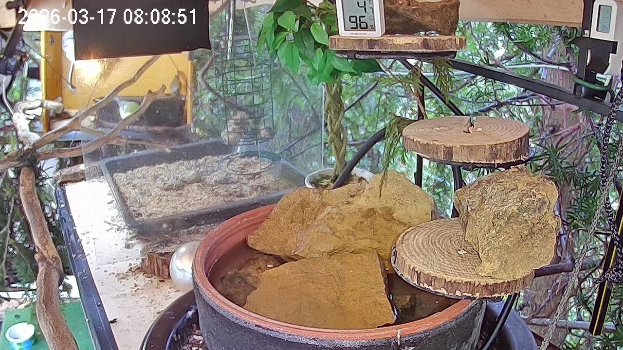 Ruhiger Morgen am Vogel-Spa (17.03.2026)