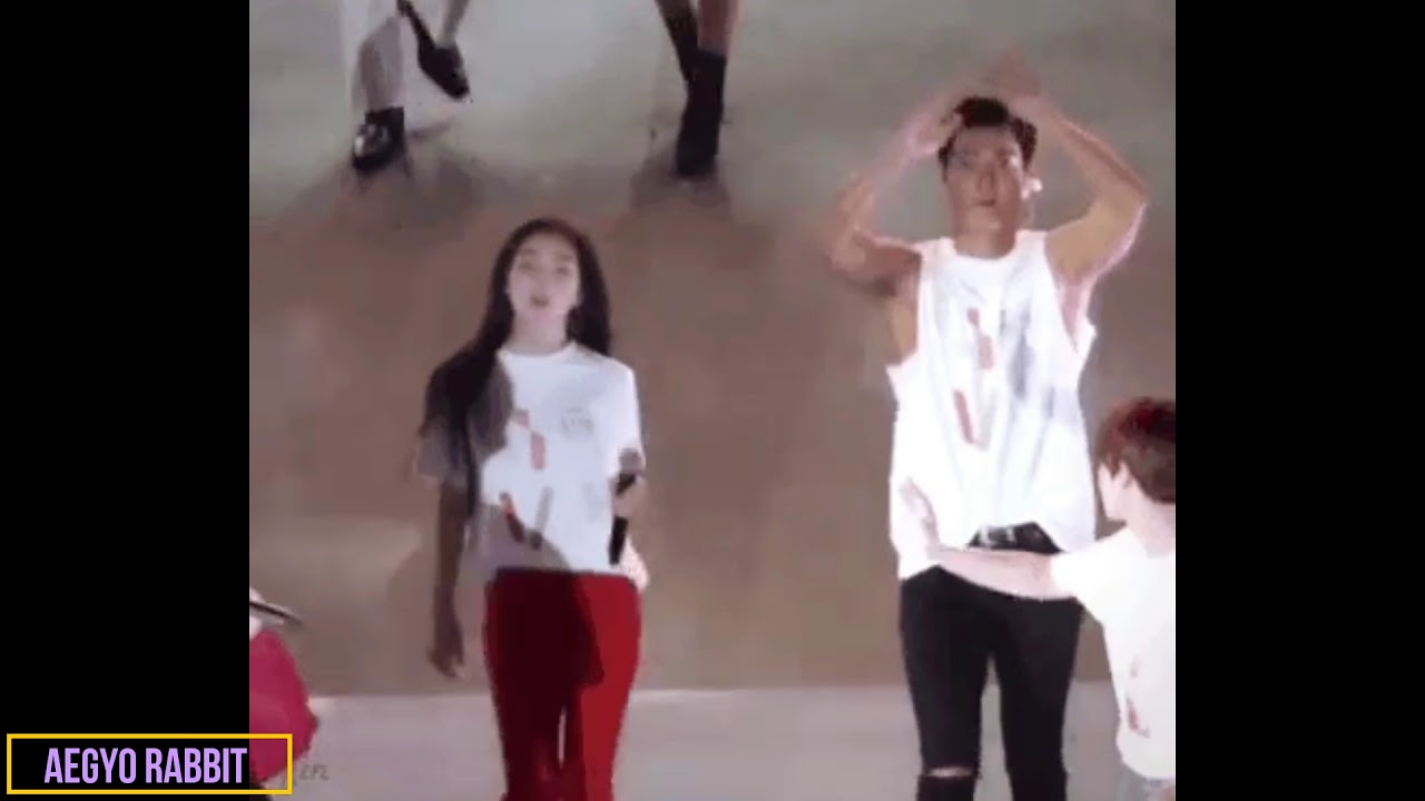 EXO Suho and Red Velvet Irene moment_SMTown Chile 2019