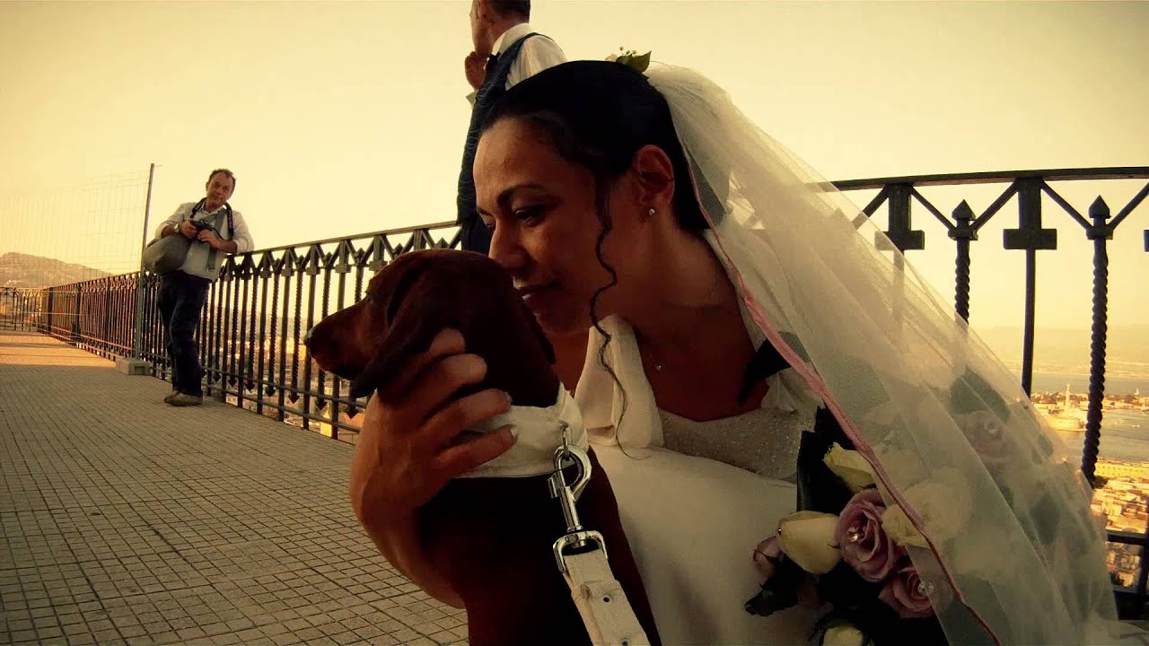 WEDDING FILM CANE PORTA LE FEDI - FILMINO DEL MATRIMONIO DAL PUNTO DI VISTA DEL CANE