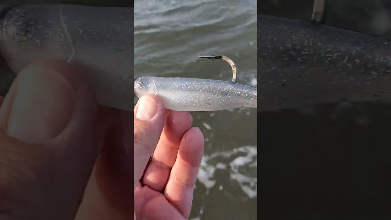 Zman's Swimmerz 4" Smoky Shad on Diezel Eye Jighead - Ultimate Fishing Lure Combo