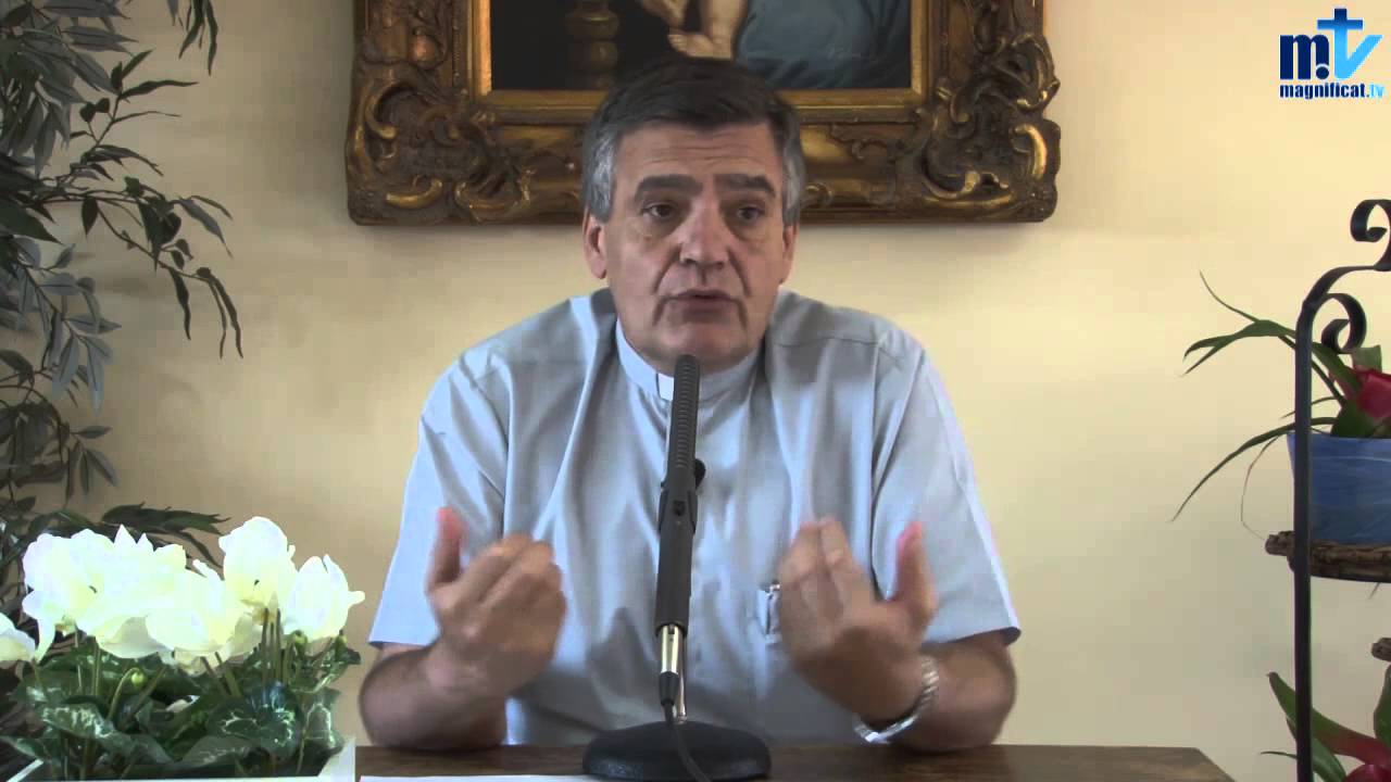 Dificultades y estrategias - P. Santiago Martin (FM)