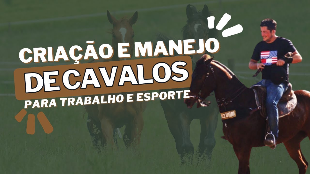 EP21 - Manejo e cria&ccedil;&atilde;o de cavalos para trabalho e esportes, com Marcus Vin&iacute;cius Borges