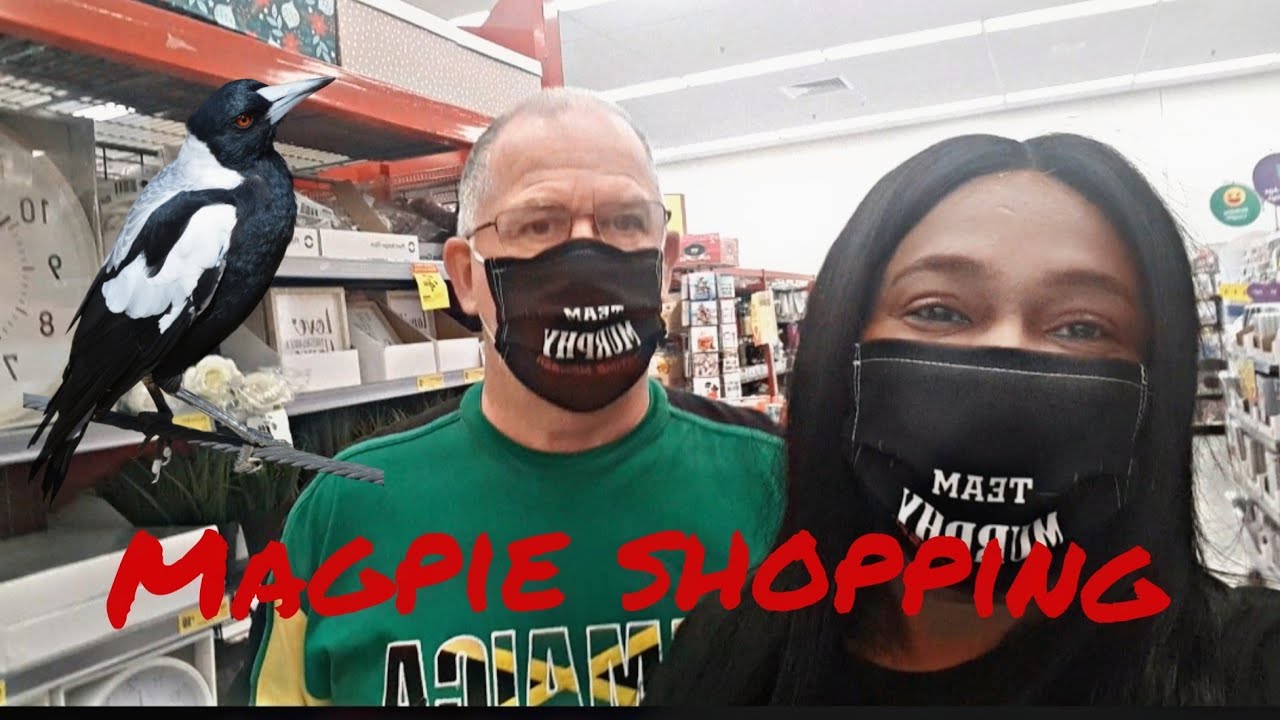 Come Shop With Us for a Magpie#reject#shop