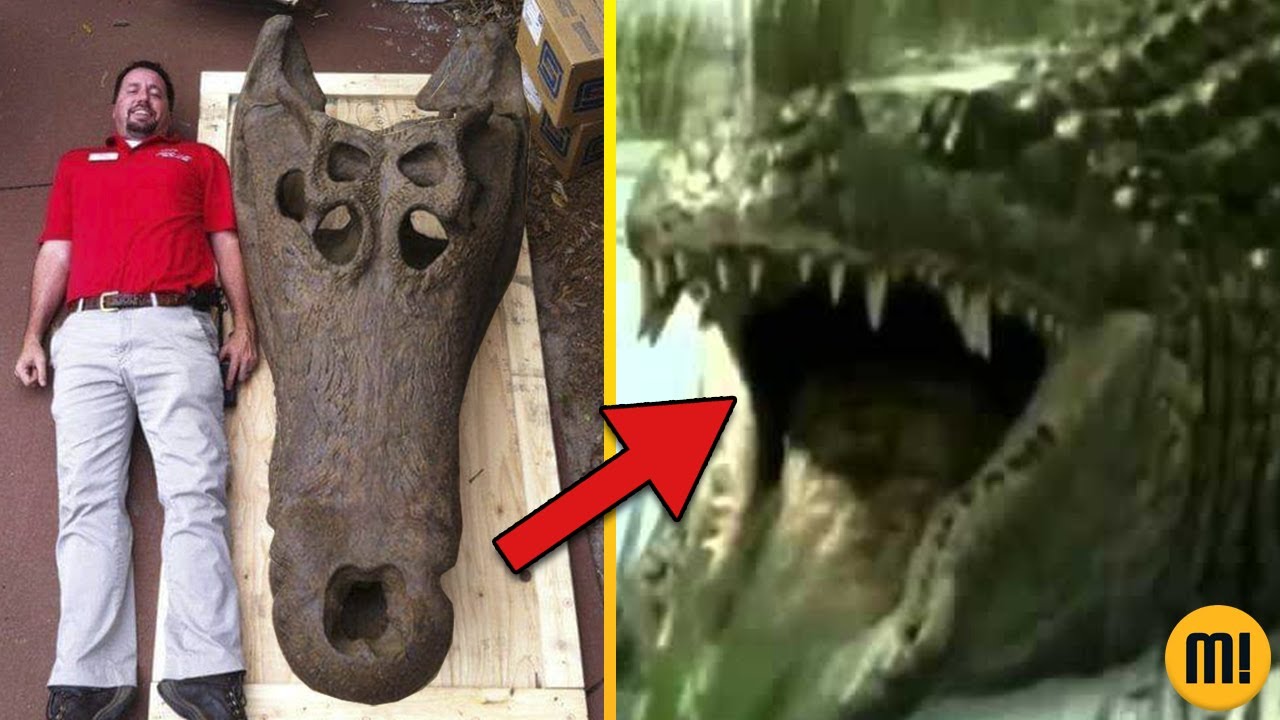 O que descobriram sobre esse MONSTRO &eacute; impressionante