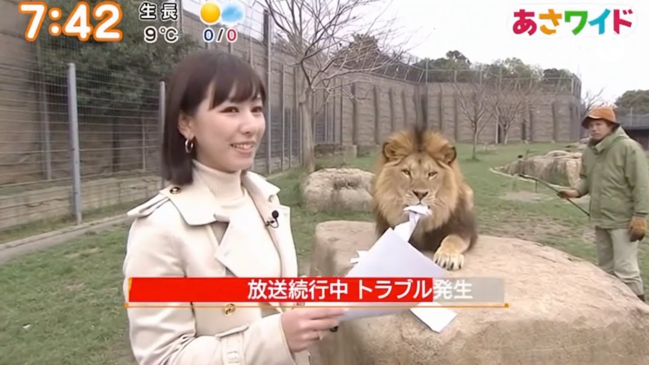 AIが考える動物園の放送事故【Sora2】