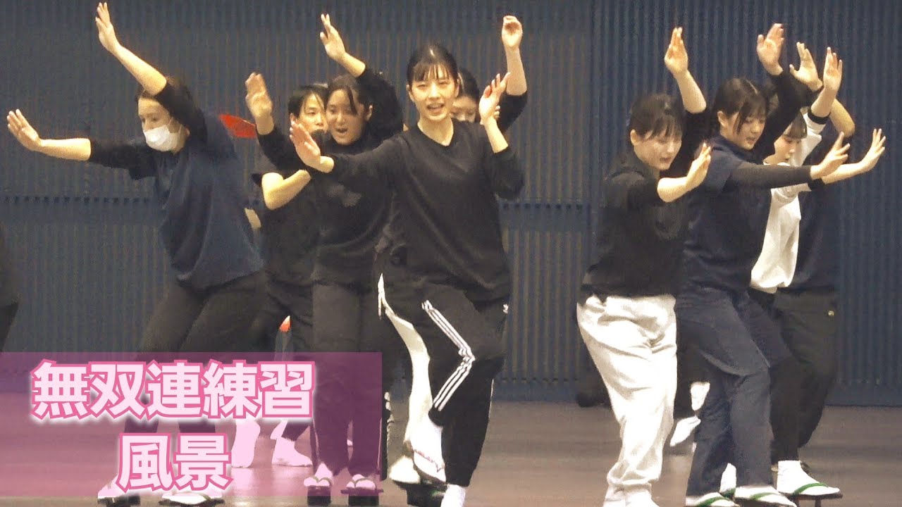 阿波踊り『無双連』練習風景の観覧