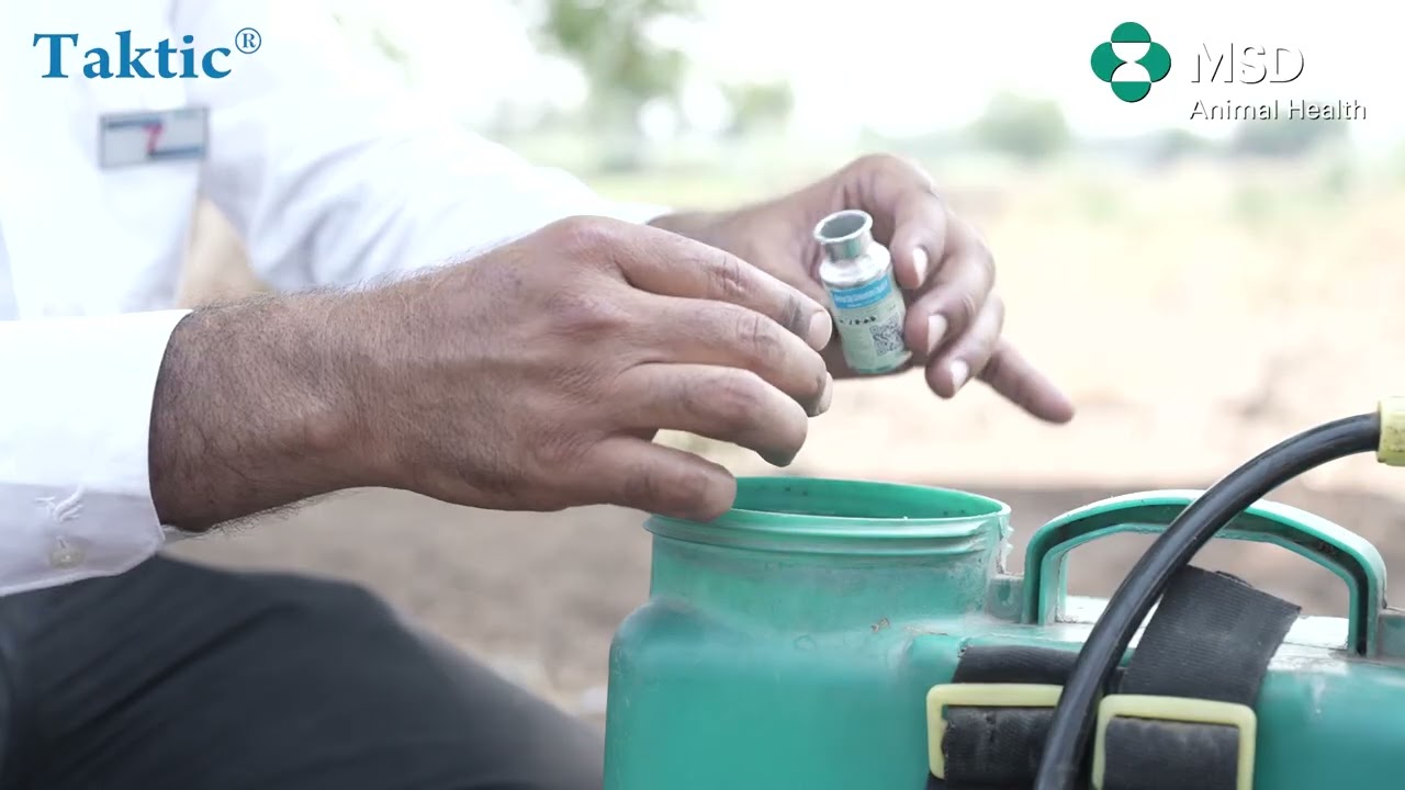 Taktic Demo Video | MSD Animal Health | Bengali
