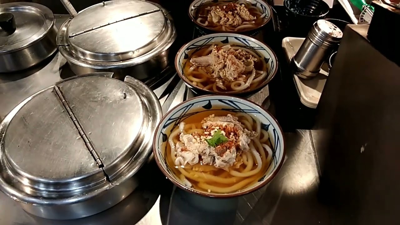 lunch with family #blacksaturday #japanesefood #udon #gyoza #yummy #うどん #日本料理 #餃子 #うまい #日本料理 #like