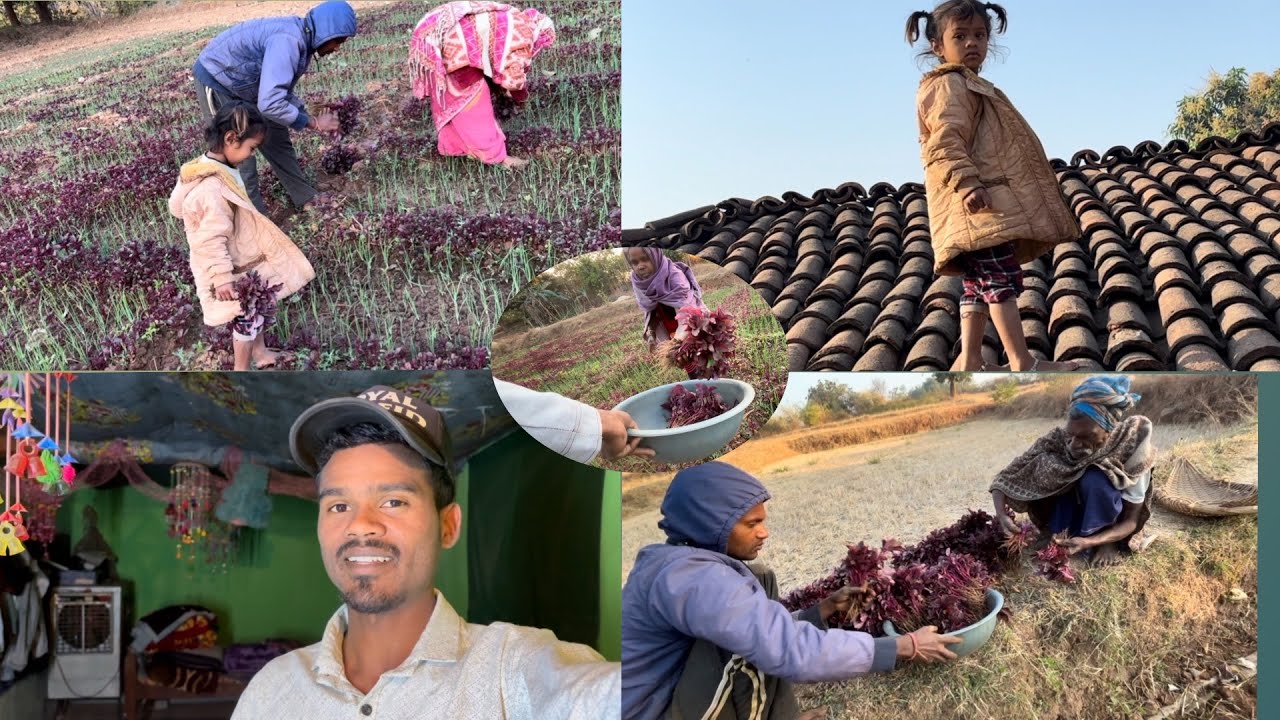 आज लाल 🌱🌱भाजी तीर डारेन 😍
