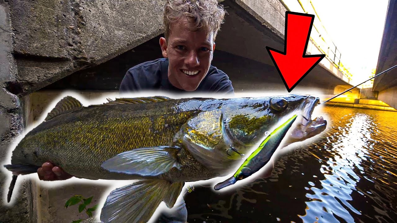 DIT AASJE VANGT ALLEEN JOEKELS!!😳 - VLOG 87