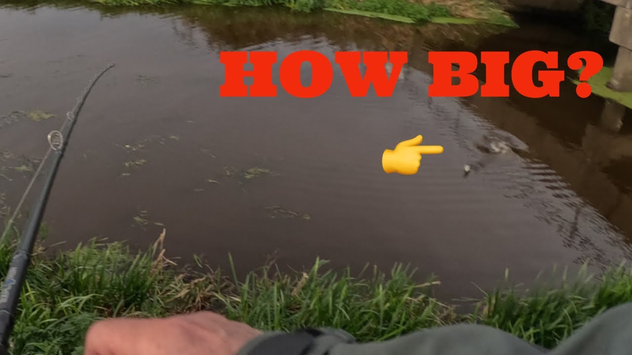 Can Sluice Produce?