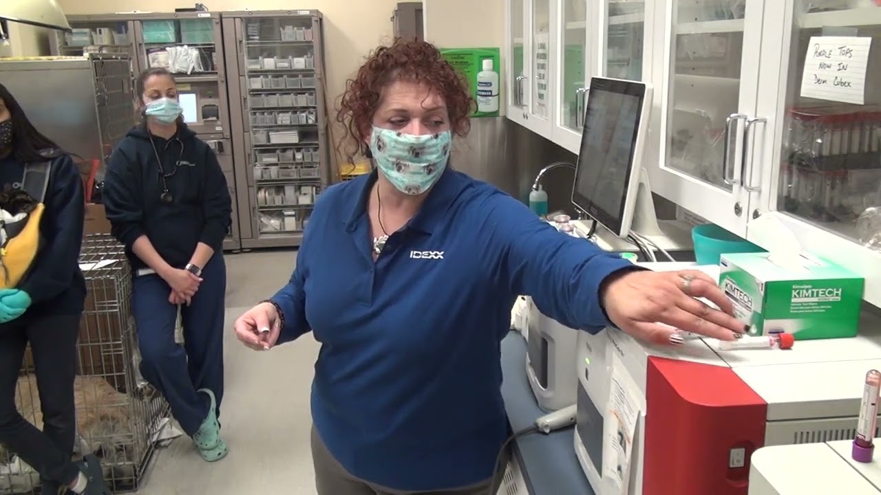 Idexx Blood Sample Handling