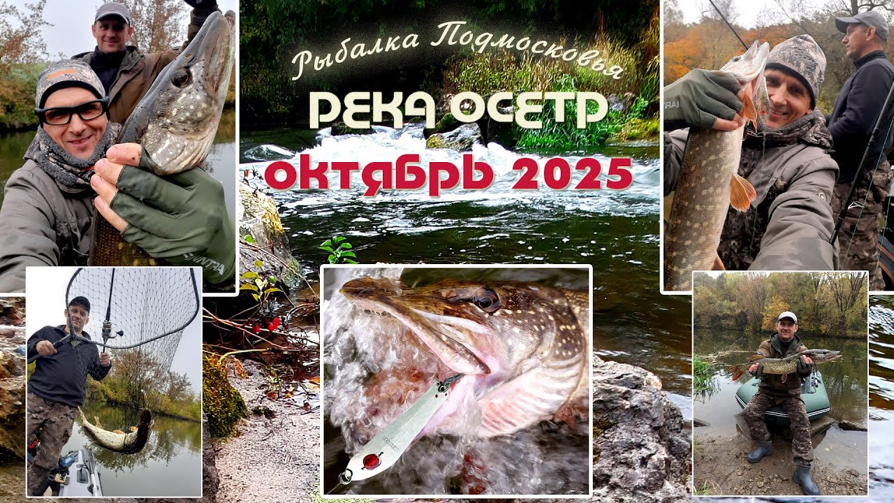 Ловля щуки на подмосковной реке Осетр в октябре 2025 года