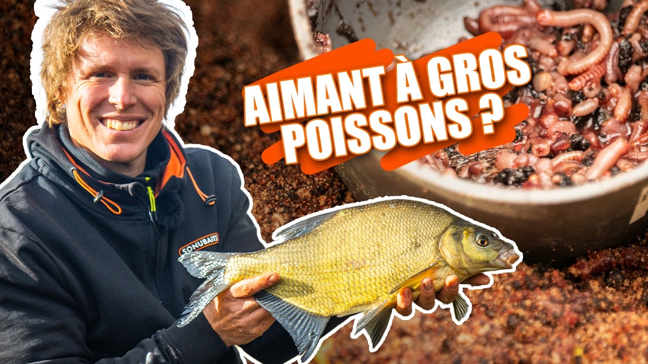 AMORCE IDÉALE POUR PECHER AU VER DE TERRE : l'amorce WORM