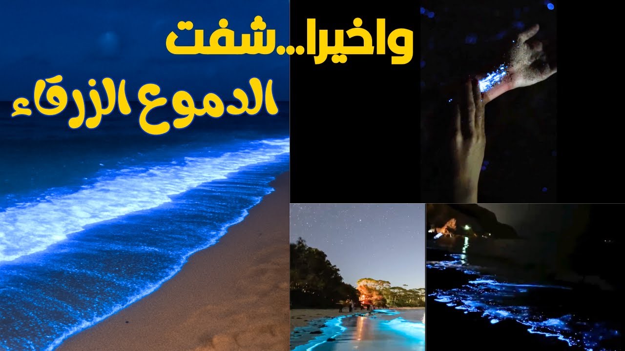 وصلت لأبعد مكان في عُمان 🇴🇲 للبحث عن الدموع الزرقاء. ولكن المفاجأة ابدا ما توقعتها! |Blue tears vlog
