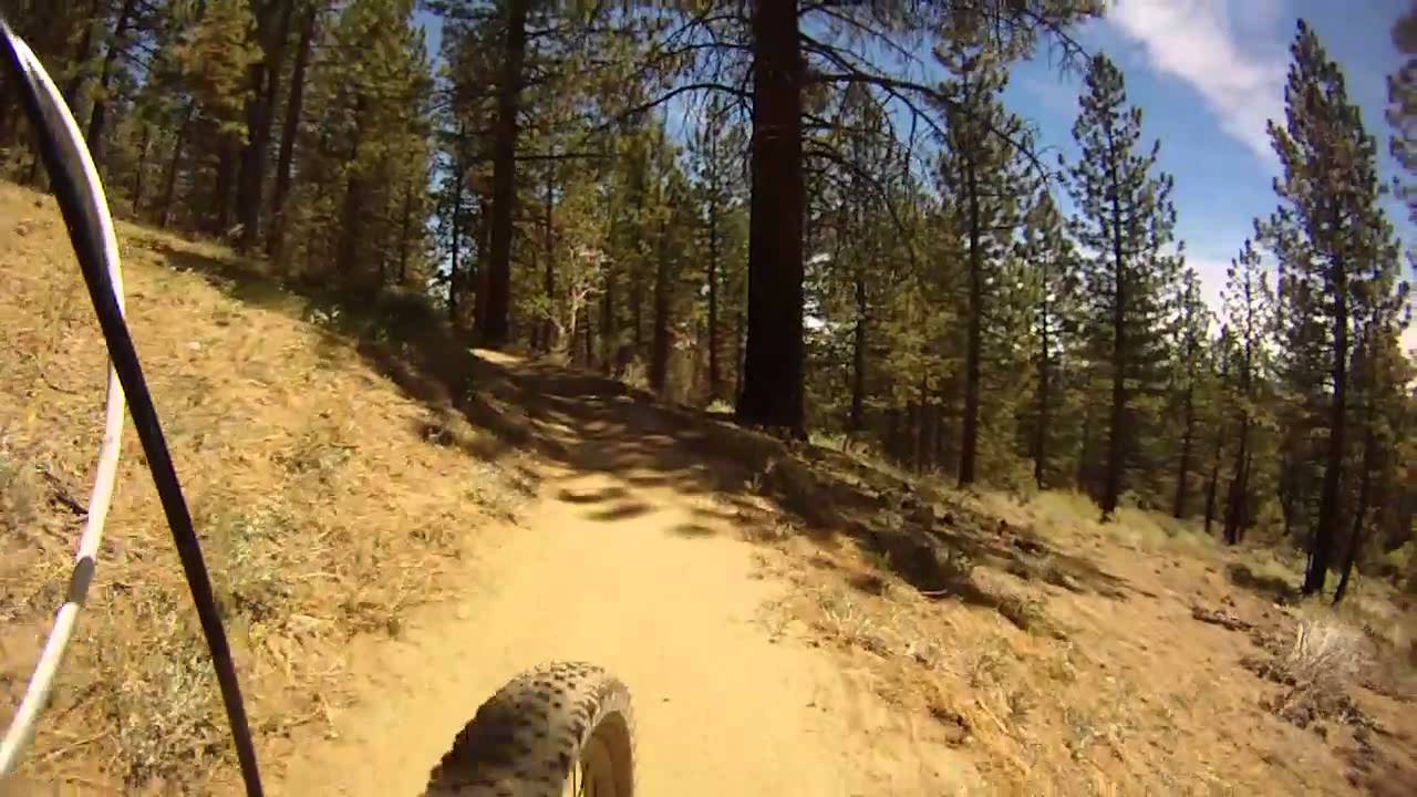 Downhill McGill Trail Mount Pinos Frazier Park