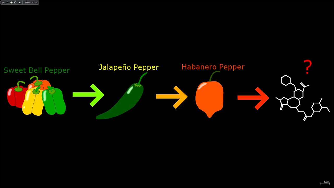 World's Spiciest Things Comparison
