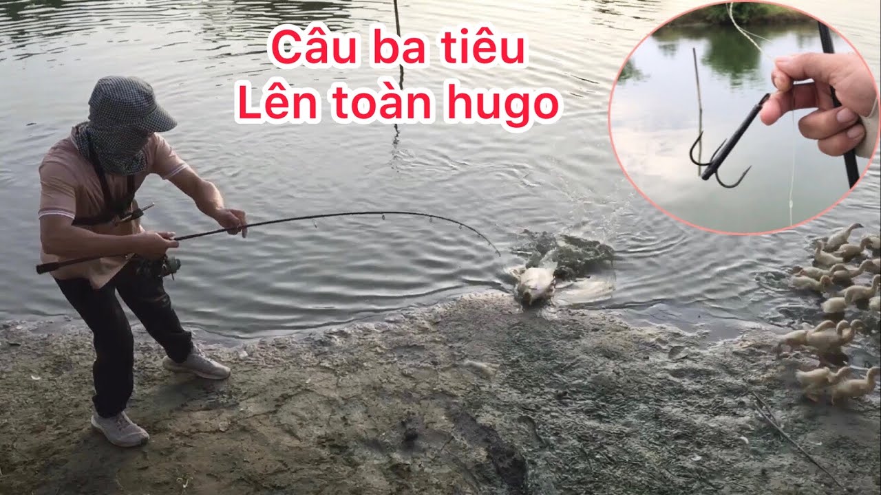 CÂU BA TIÊU KIỂU MỚI HƯNG HUGO