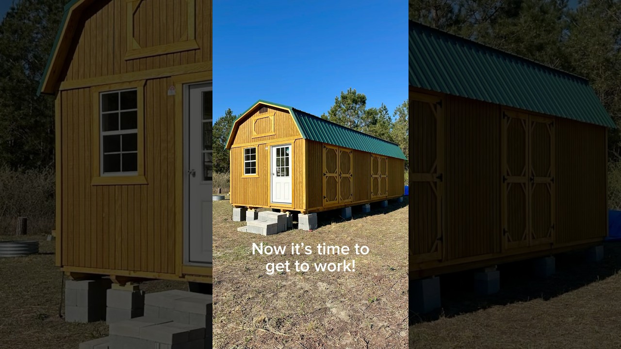 Converting a Shed to OFF GRID Cabin! #offgrid #alone #shedtohouse #tinyhouse