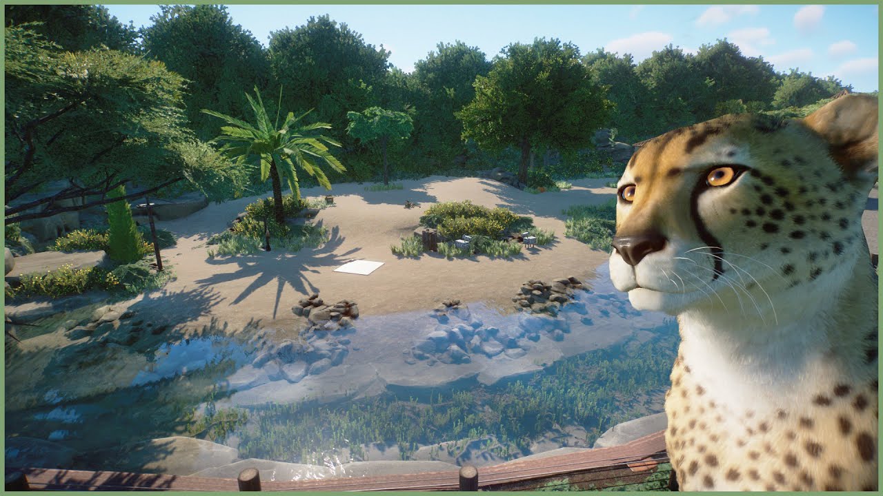 🐆Cheetah habitat | Amalfina Zoo | Planet Zoo | speedbuild🌴