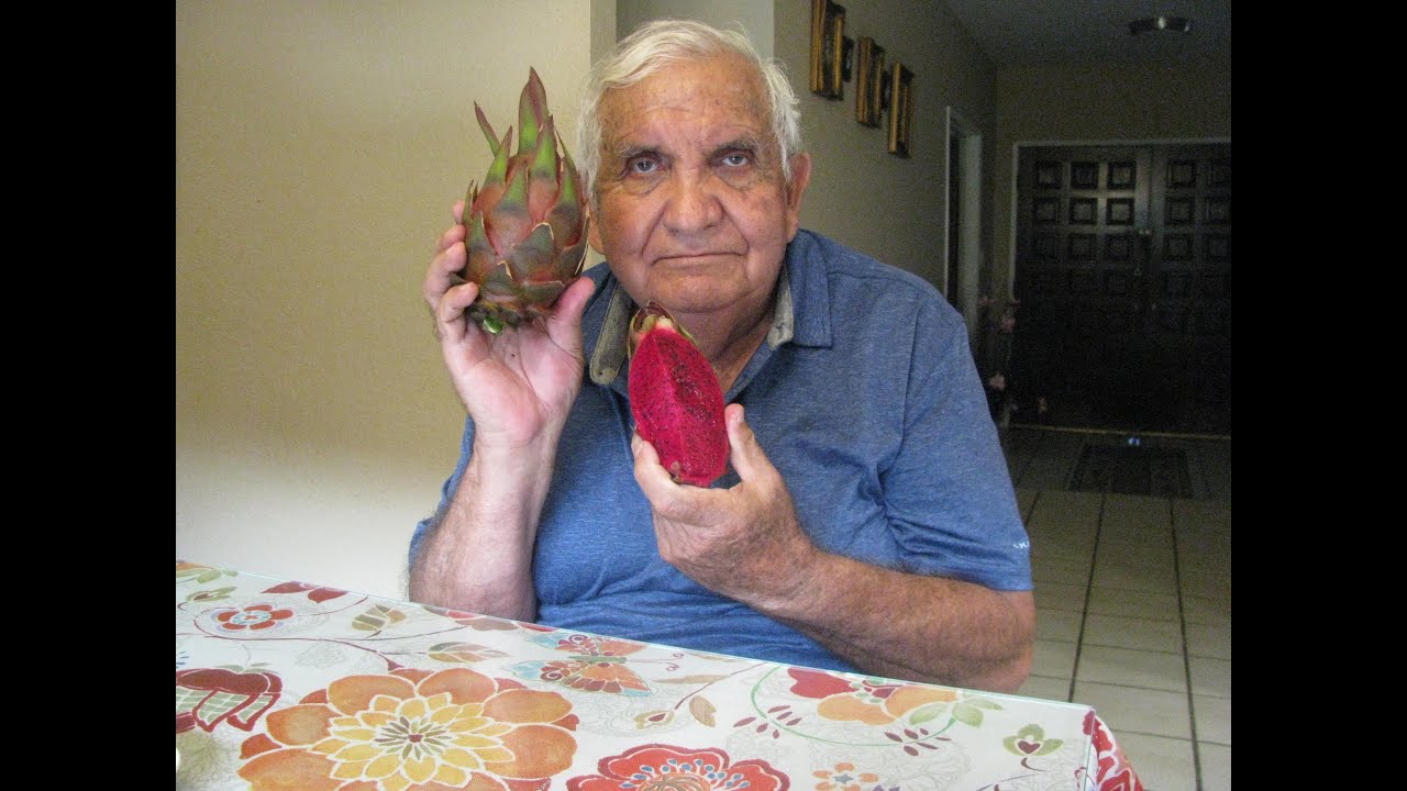 Asunta 5 dragon fruit  Edgar