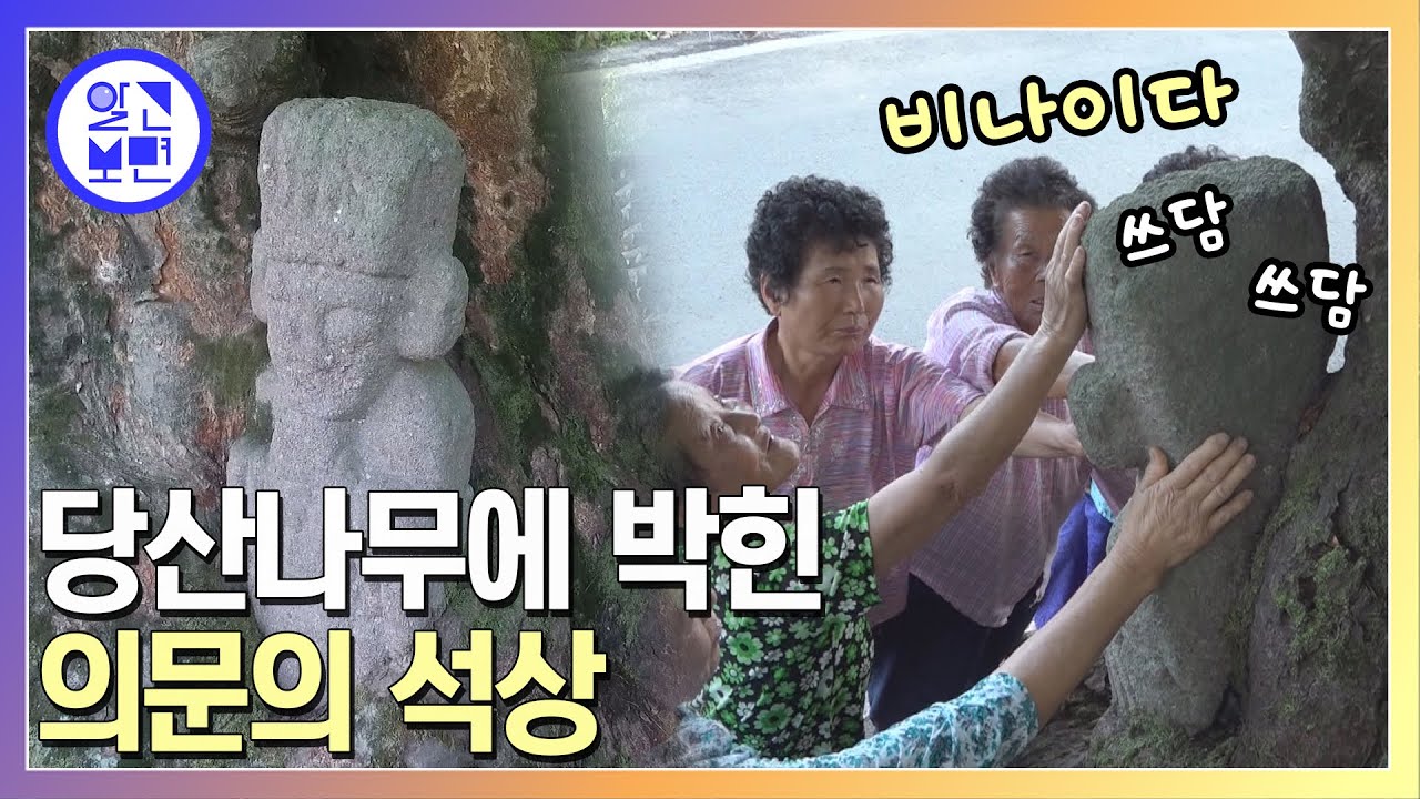 300년 된 당산나무에 갇혀버린 석상의 정체는?