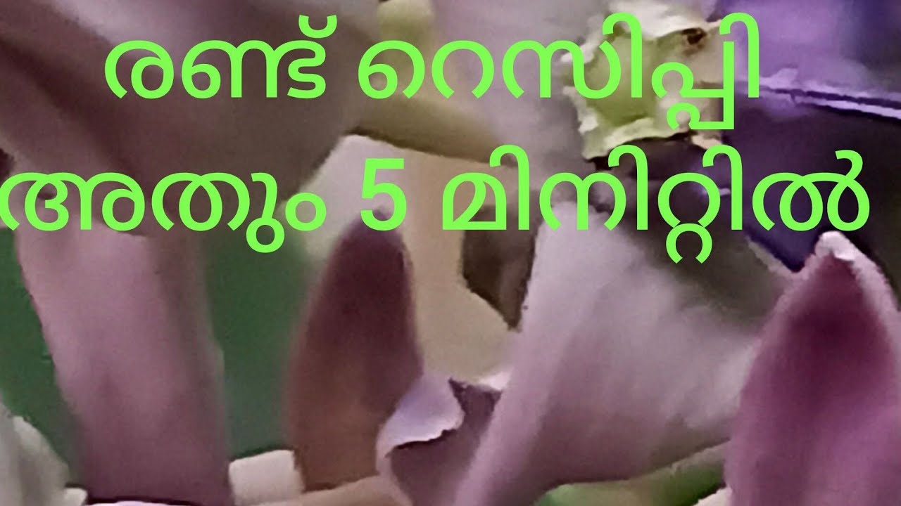 ഇന്നൊരു തീയ്യൽ റെസിപ്പി കണ്ടാലോ❤️ making video