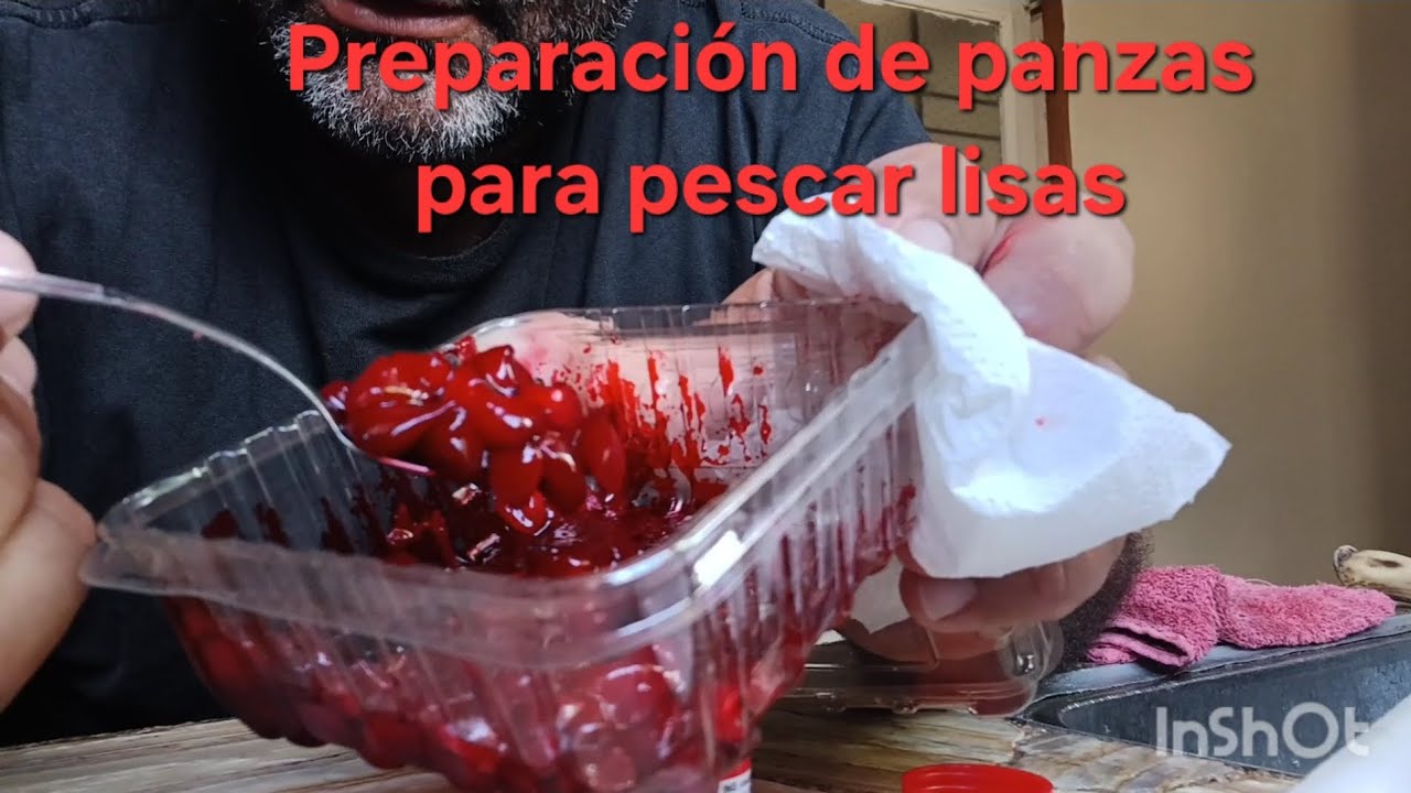 Como preparar panzas de lisa para carnada.