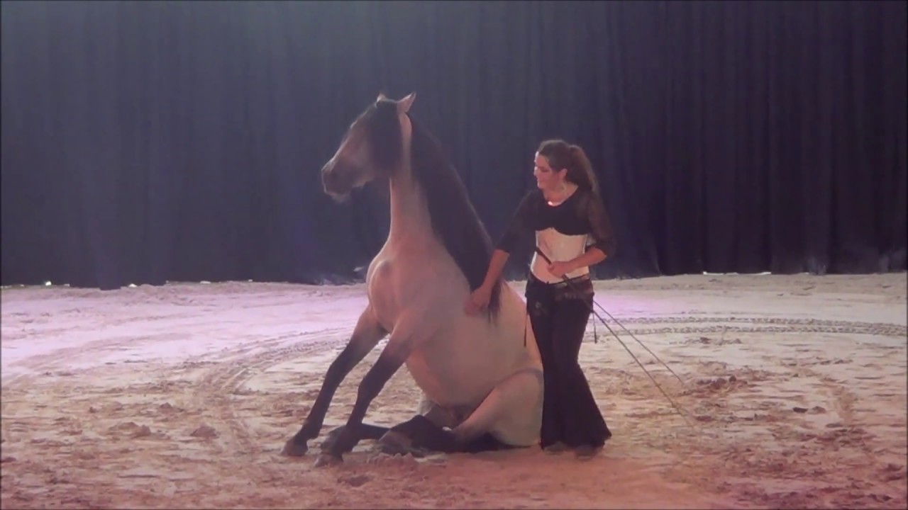 Tango - Liberté - Premier Spectacle