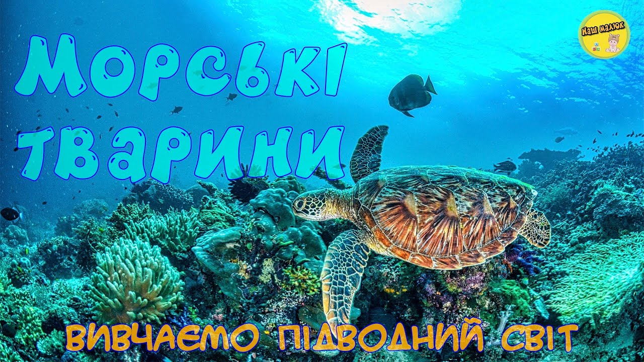 МОРСКИЕ ЖИВОТНЫЕ | РАЗВИВАЮЩИЕ ВИДЕО для детей | Изучаем подводный мир