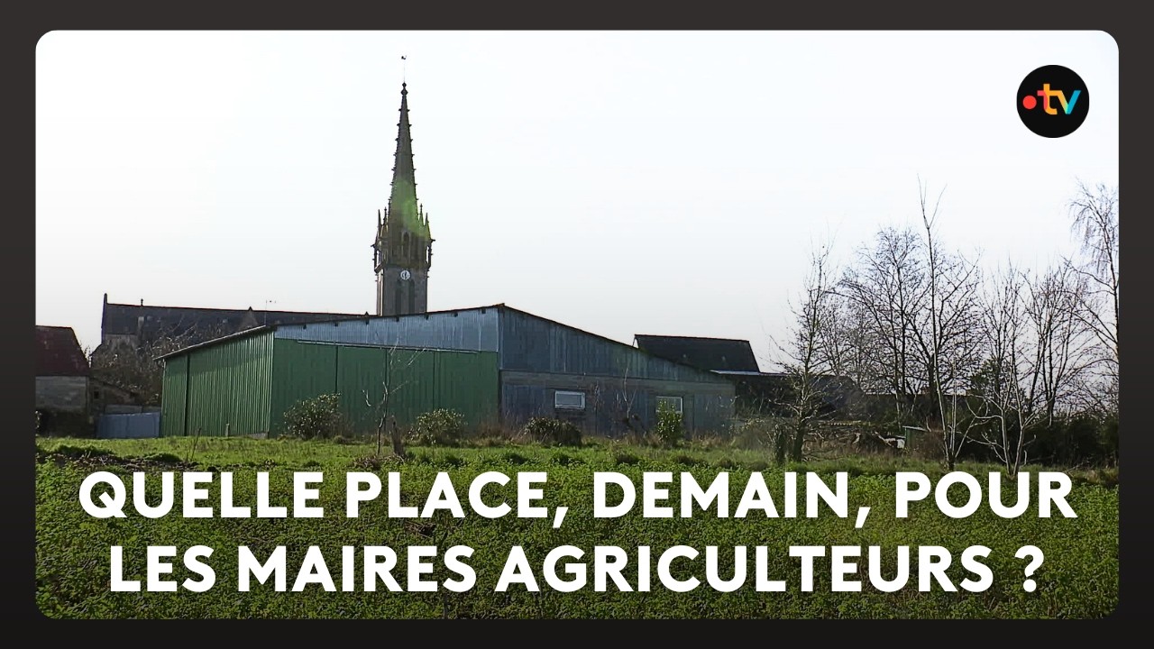 11,6 % des maires en France sont aussi agriculteurs. Un chiffre qui diminue élection après élection