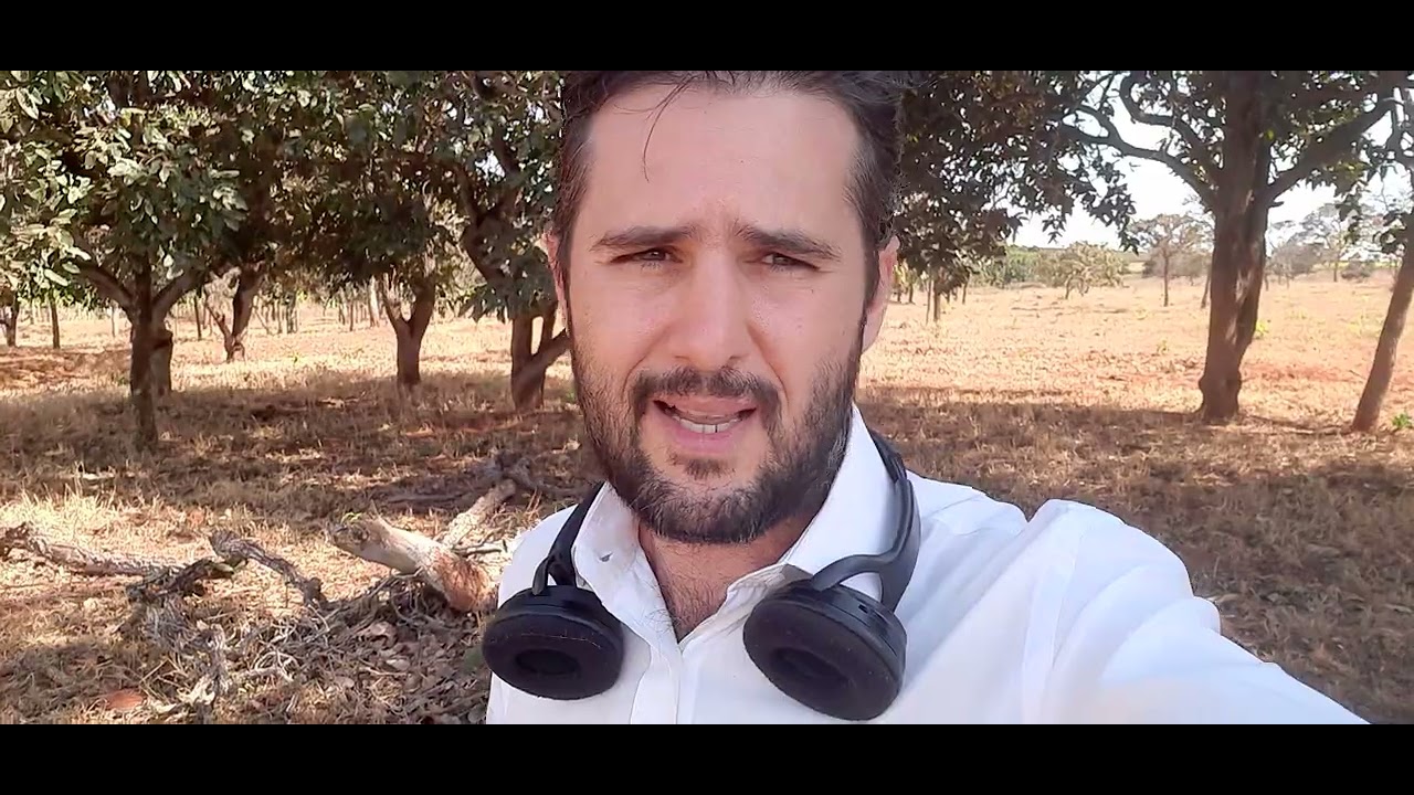 Per&iacute;cia judicial: O Perito pedagogo