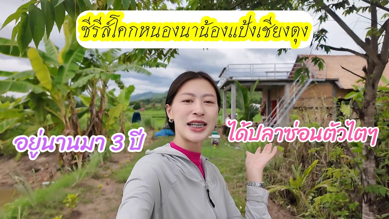 เก็บตกซีรีส์โคกหนองนาน้องแป้งได้ปลาซ่อนอะไรเยอะใหญ่ด้วย โอ้ ปลาสามปี 🐟😄