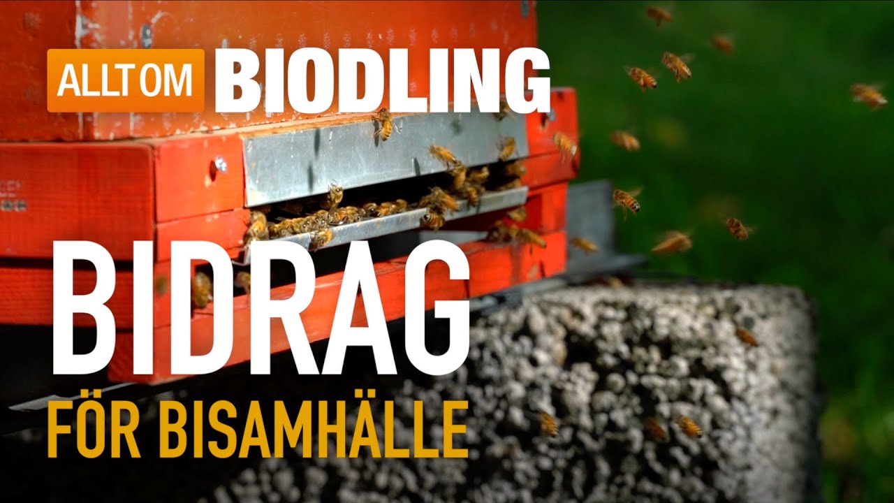 Bidrag f&ouml;r bisamh&auml;lle | Biodling
