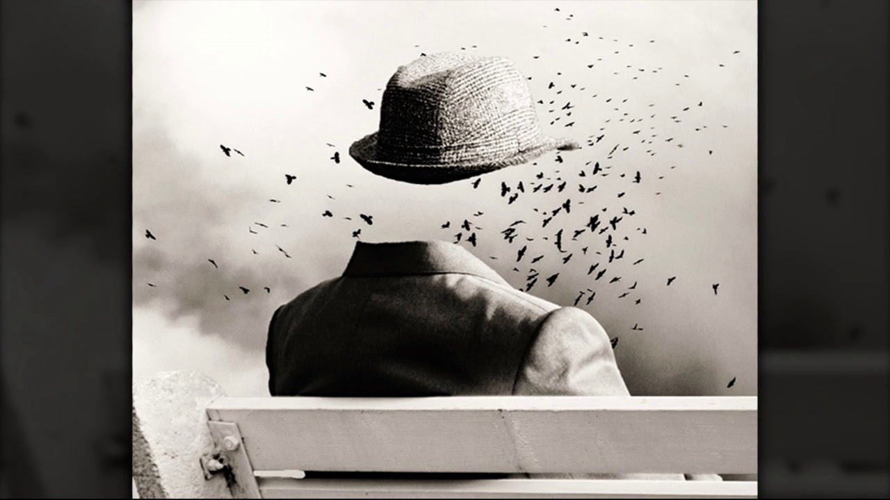 Solitario - Anatom&iacute;a de la infelicidad inherente al individuo reacio al autoenga&ntilde;o